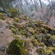 Illustration for article titled San Joaquin River Gorge